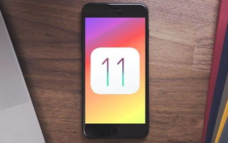 苹果iPhone15怎样开启存储权限