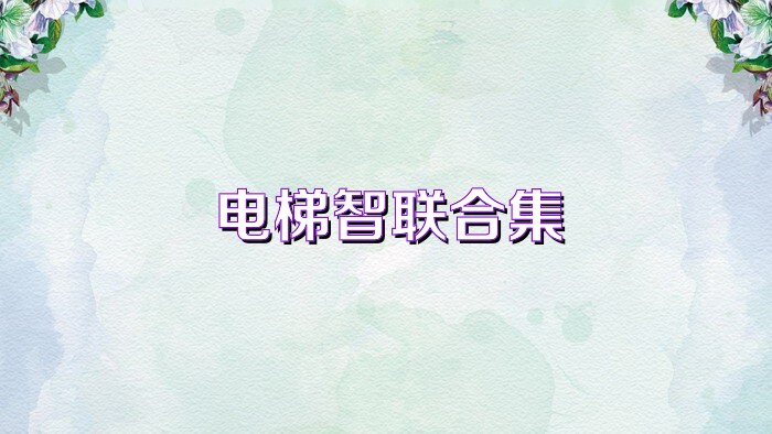 电梯智联合集