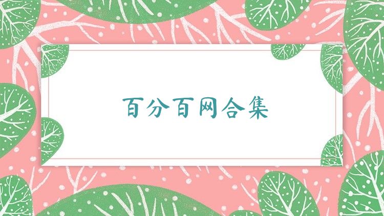 百分百网合集
