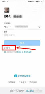 如何在钉钉查看自己的密码