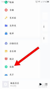 如何开启椒盐音乐沉浸模式