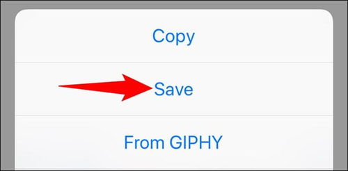 iPhone上如何找到保存照片的应用