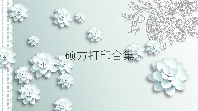硕方打印合集