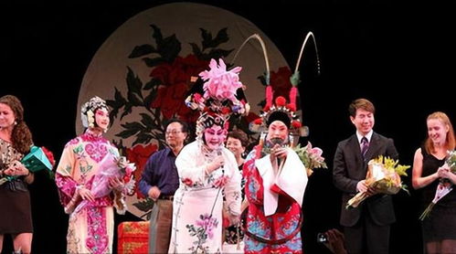 怎么看以闪亮之名是不是官方服务器