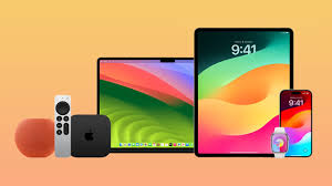 iOS developer版和public版的区别