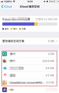 iCloud储存空间中的“其它”文件包含哪些
