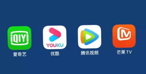 爱奇艺Mac视频下载方法解析