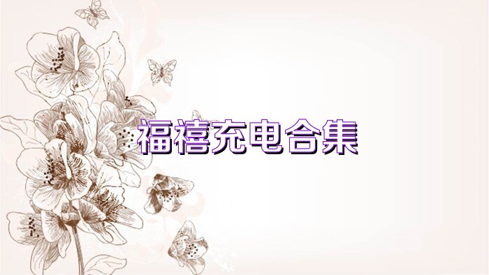 福禧充电合集