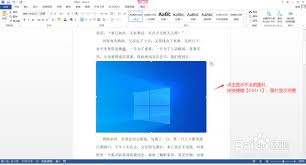 图片在Word中显示不全怎么办
