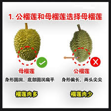 如何挑选榴莲的技巧