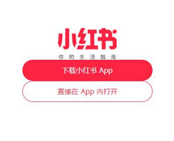 小红书网页版怎么进入