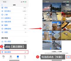 手机照片删除了还能恢复吗