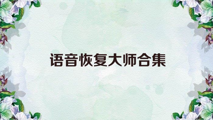语音恢复大师合集