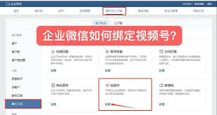 怎么加视频号的微信号