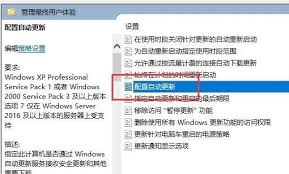 windows11自动更新怎么关闭