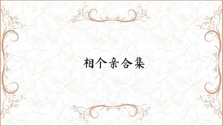 相个亲合集