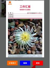 工程相机删除拼图方法