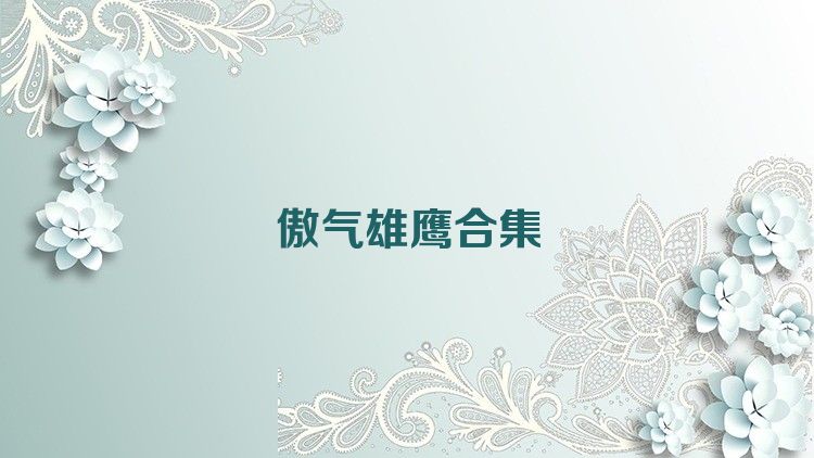傲气雄鹰合集
