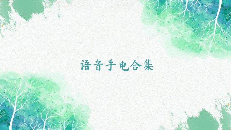 语音手电合集