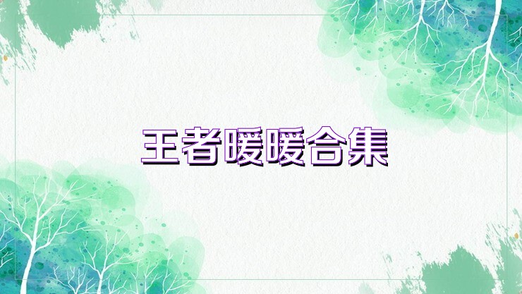 王者暖暖合集