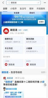 如何通过赣服通查询学平险保单