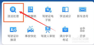 交管12123如何查询罚单编号