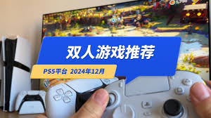 PS5支持双人游戏吗