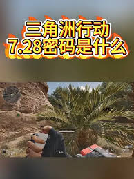 三角洲行动7.28密码是多少