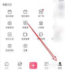 皮皮搞笑如何关闭抽奖功能