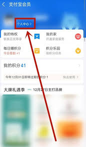 如何在支付宝查看积分兑换记录