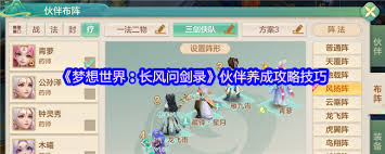 梦想世界长风问剑录回春药师攻辅兼备流如何搭配
