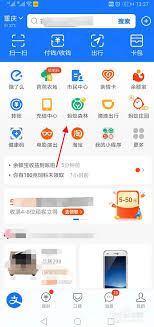 蚂蚁森林合种退队能量会返还吗