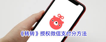转转如何使用微信付款