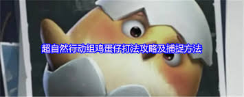超自然行动组鸡蛋仔如何应对