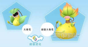 宝可梦传说ZA超级大食花是什么属性